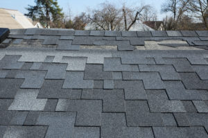 shingles roof florida